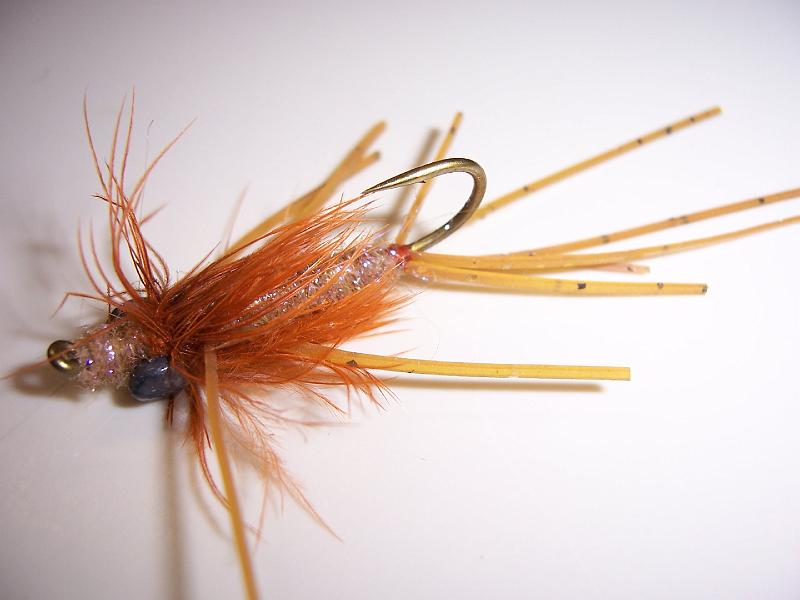 10-12 carp teasers 003.jpg